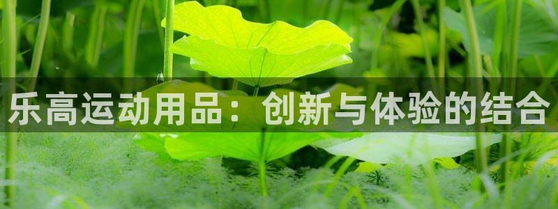 意昂体育5(KGAME)平台：乐高运动用品：创新与体验的结合